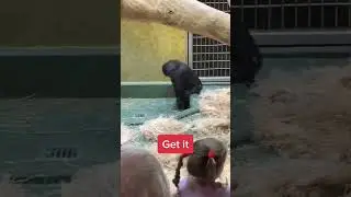 Chimp Empire Deleted Scene
