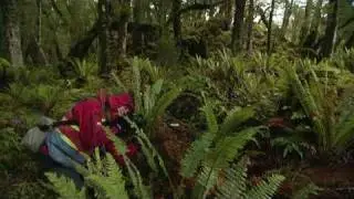 Jules Lund's New Zealand photo-tourism adventure #4