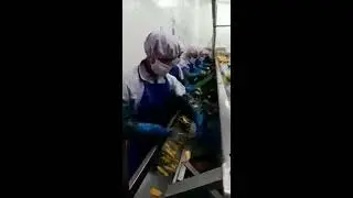 pelado de mango 2020
