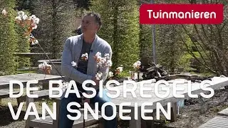 Snoeien van planten en struiken. Hoe doe je dat?  | Tuinmanieren