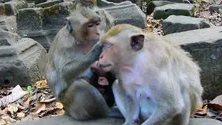 Dakata has to take her baby back after a young mom learns to give baby to drinks her milk before to.