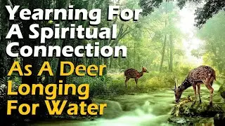 YEARNING FOR A SPIRITUAL CONNECTION TO GOD – Rabbi Michael Skobac