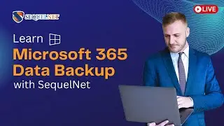 How does Office 365 backup improve email reliability?