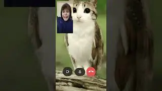 bro he just wont stop