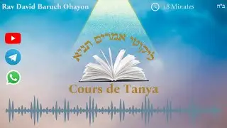 IK 110 אגרת הקדש סימן כב - Une solution de substitution