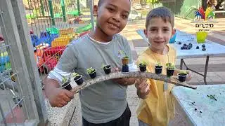 גינה לימודית בבית ספר מיתרים ראשון לציון