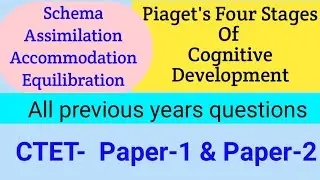 Piaget's Cognitive development ll all previous years questions CTET paper-1 & Paper-2