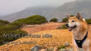 Cliffside Hike with Archie &mdash; Fog, Fluff & Questionable Navigation | Praia do Abano, Portugal
