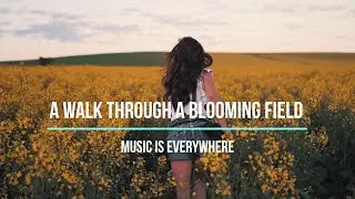 A walk through a blooming field. (Красивая прогулка по цветущему полю.) Мusic by mood.