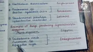 Lignocellulolytic enzymes and Lignocellulosic microorganisms