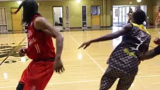 Brandon Nichols 2017 NABL highlights