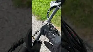 Gopina Electric Bike Review and test ride