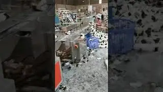 Automatic single roll toilet paper pillow packing machine