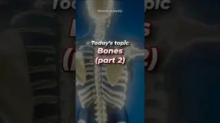 💀🦴 Bones Quiz 2! 😱 Only GENIUSES can get 3/5 🔥