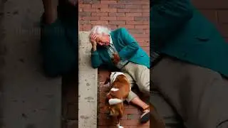 Loyal Dog Saves Owner's Life By Leading Ambulance To Him! #dog #rescue #heartattack #shorts