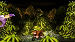 Donkey Kong Country Boss 6 : Master Necky Snr. (no damage) HD
