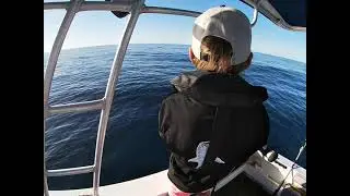 Big Break Sea Cod On A Calm Day - Ep 18