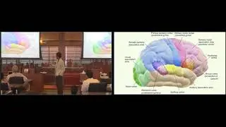 Scientific Explorations of Brain, Mind, and Self