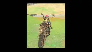 Didn't know yiga footsoldiers were THAT fast