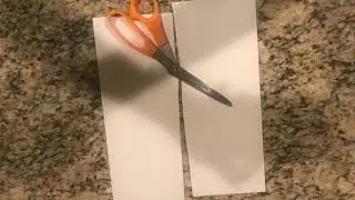 Paper Roll Animation