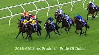 Snowden Racing Group 1 Highlights 2014 15