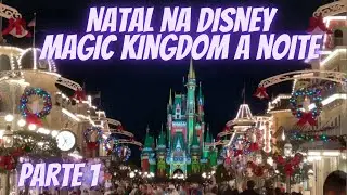 Disney Natal 2020 - Incrivel passeio de Natal na Disney de noite &hearts;