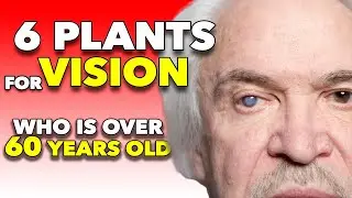 6 Plants for Vision - Nourish Your Eyes and Enhance Your Vision