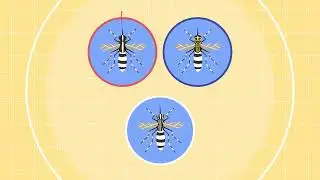 The buzzing problem - invasive mosquitos colonising Europe
