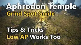 Aphrodon Temple Grind Spot Guide | Black Desert Online