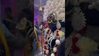 Shamshan Vashni Maa Vikral Roop || Bulandshahr Kali 2025 #bulandshahr #kali #maa