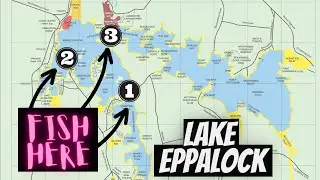 Exploring new fishing spots | Lake Eppalock