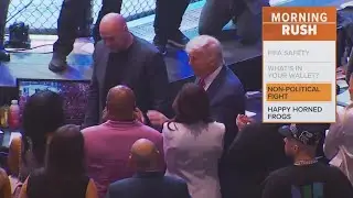 Trump to host UFC fight