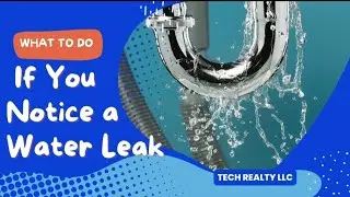 What To Do If You Have a Water Leak at Home | Quick Steps to Prevent Damage