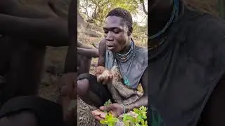 ugali time