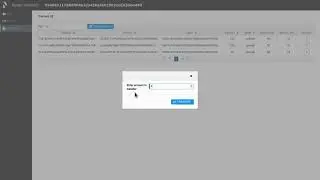 Raiden Network - Developer Preview Demo