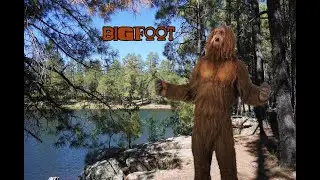 Searching for Bigfoot / Sasquatch aka Arizona Mogollon Monster - Woods Canyon Lake Day Hike
