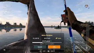 Fishing Planet: San Joaquin Delta, Leveling Up pt. 1