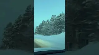 🇸🇪 Driving Through a Snowy Road | Peaceful Swedish Winter ❄️ #nature #travel #winter