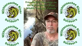 Friendly Deer Encounter on the Withlacoochee River