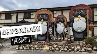 信楽焼タヌキだらけの町、滋賀県信楽町をお散歩－A Town Full of Pottery Tanuki | Shigaraki Walking,　TANUKI Town, Shiga JAPAN