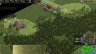 Aoe2DE - These Black Forrest Games Seem To Never Dissapoint