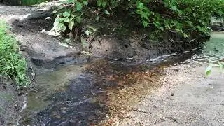 Short visit at Chestnut Branch while hiking Ceres Park.