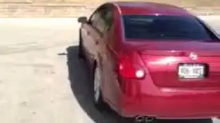TintTek. Window Tinting at its best. Located in Madison, WI