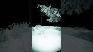 STALCRAFT:X FOUND FOOTAGE #2