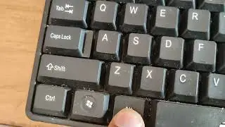 How to create Palm Tree using keyboard shortcut in computer