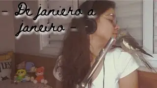 De Janeiro a Janeiro - Cover - Flauta Transversal