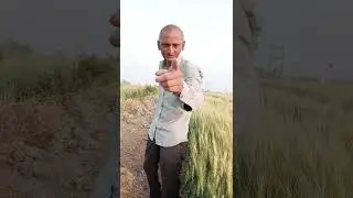 #tu mara ghav ny Reva de#khetivadi #gujarat #shere #sheready #vayarlreels