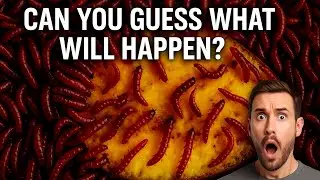 The Mango Massacre: 10,000 Worms, 8 Hours, Total Chaos | Time-Lapse