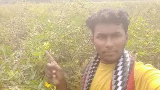 तूर कापणं सुरू आणि जमा👳‍♂️👳‍♂️❤️