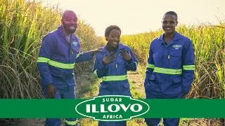 Illovo Sugar - Campaign to take Accountability #campaign #corporate #business